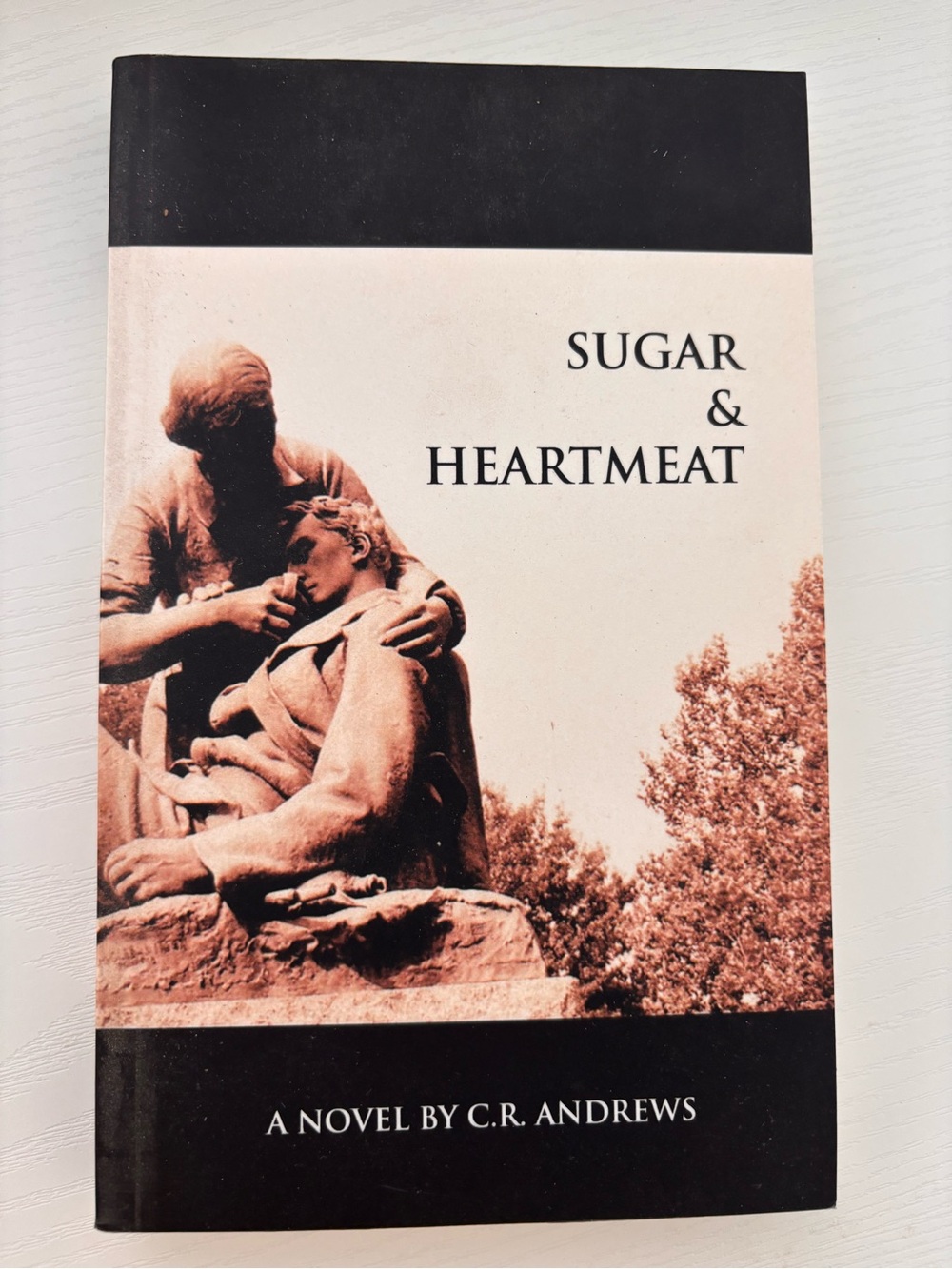 Sugar & Heartmeat Paperback Novel in Sepia and Black